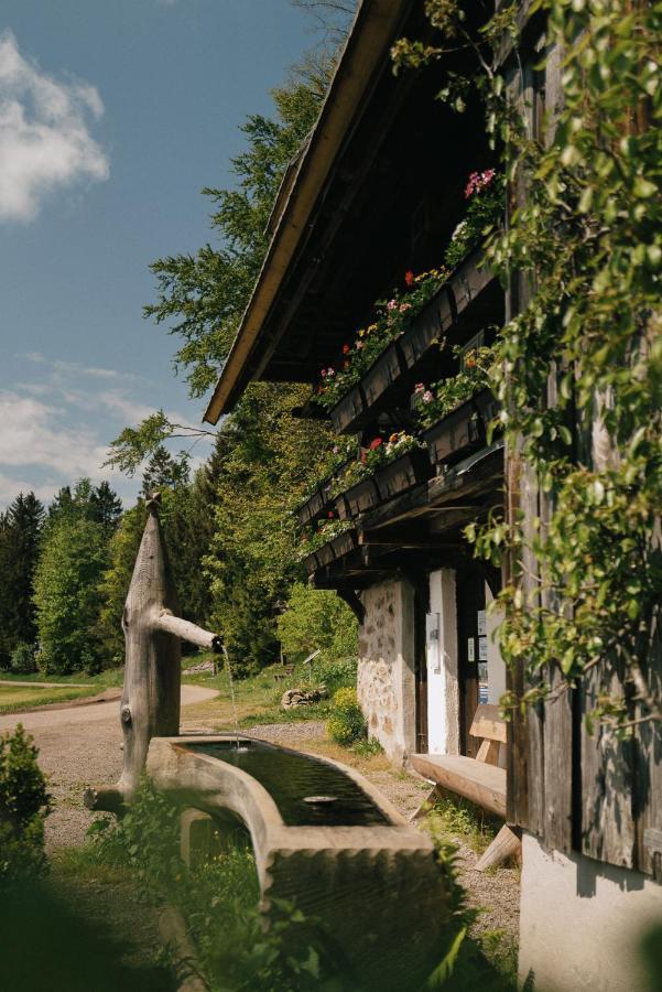 Hotel Der Hirschen Sankt Märgen Esterno foto